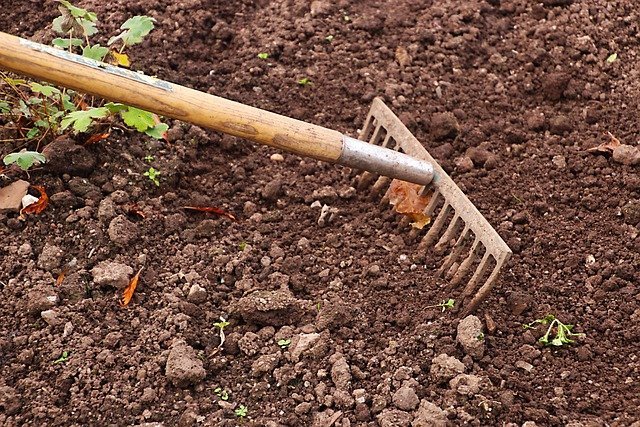 rake-2915742_640-m5KbKXOLQncJgP8P