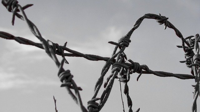 wire-1675327_640-mk393M98j0uvRWlQ